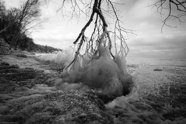  : THE PERSISTENCE OF VANISHING THINGS : HILLARY JOHNSON PHOTOGRAPHY
