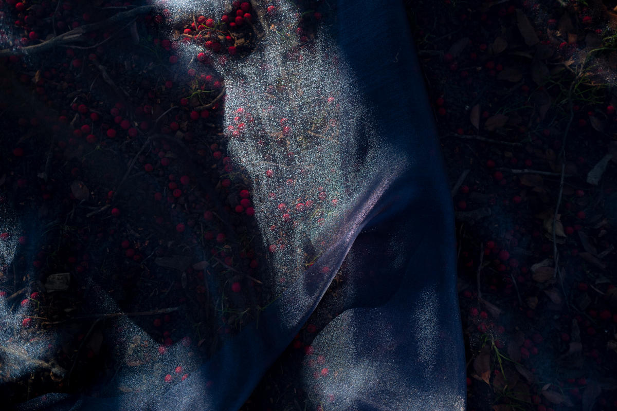  : THE VEIL IS THIN THERE IS NO VEIL : HILLARY JOHNSON PHOTOGRAPHY